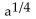 Write rational exponents in radical notation and radicals in rational exponential notation. -  A)    B)    C)  a D)   