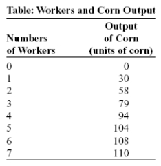 Use the following to answer questions:   -(Table: Workers and Corn Output)  Look at the table Workers and Corn Output. Laura is a price-taking farmer who produces corn. Assume the wage rate for workers is $250 and the price per bushel of corn is $20. Laura should hire _____ workers to maximize profits. A)  one B)  two C)  four D)  seven