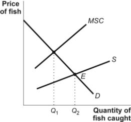 Use the following to answer question: Figure: Marginal Social Cost and Supply   -(Figure: Marginal Social Cost and Supply)  Look at the figure Marginal Social Cost and Supply. The marginal social cost curve lies above the supply curve: A)  because the marginal social benefit is greater for a common resource. B)  and the efficient quantity of this common resource is point E. C)  because the marginal social cost includes the cost of depleting this common resource. D)  because this is a public good.