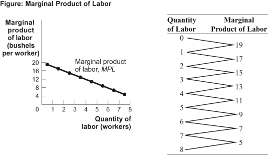 Use the following to answer questions:   -(Figure: Marginal Product of Labor)  Look at the figure The Marginal Product of Labor. The total product for three workers is _____ bushels. A)  51 B)  45 C)  39 D)  15