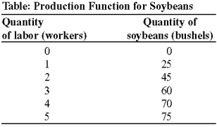 Use the following to answer questions:   -(Table: Production Function for Soybeans)  Look at the table Production Function for Soybeans. Assume that the fixed input, capital, is 10 acres of land and a tractor, which have a combined cost of $150 per day. The cost of labor is $100 per worker per day. The variable cost of producing 25 bushels of soybeans is: A)  $50. B)  $100. C)  $150. D)  $250.