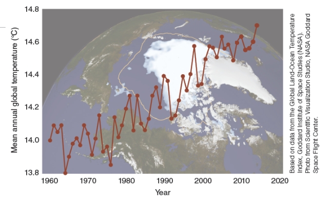 What can be interpreted from the following graph?   1. The graph shows that the Earth's surface temperatures do naturally fluctuate. 2. The graph shows that there has been a warming trend in the last several decades. A) 1 only B) 2 only C) 1&2 D) None of these choices