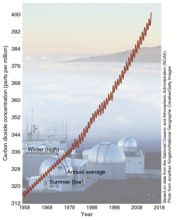 The graph below shows atmospheric concentration of CO<sub>2</sub> as recorded at the Mauna Loa Observatory. From the graph we can see that there are seasonal fluctuations in CO<sub>2 </sub>concentrations that correspond with:   A) Plants taking up more carbon dioxide in the growing season. B) Temperatures fluctuating between day and night. C) Plants releasing more carbon dioxide in the growing season. D) Cattle producing more methane in the summer when they are grazing.