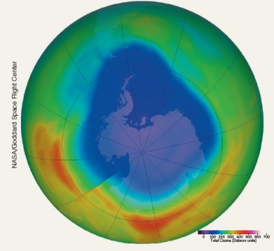 The computer-generated image below depicts a part of the southern hemisphere in December 2007. What is the source of the purple-colored region on the image represent?   A) A zone with high concentration of atmospheric carbon dioxide B) A zone with high concentration of tropospheric ozone. C) A zone with low concentration of stratospheric ozone. D) A zone with high CFC concentrations.