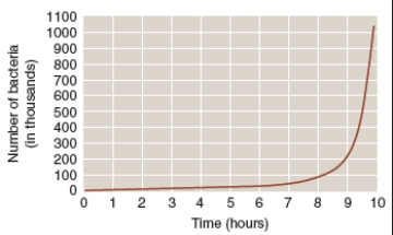 What can you conclude about the bacterial population shown in the graph?   A) Carrying capacity has been reached. B) The population is growing at its biotic potential. C) The population is growing linearly. D) Reproductive rate exceeds the ability of the environment to sustain it.