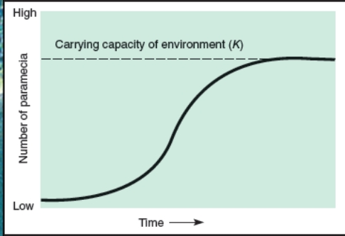 What does the graph below indicate?   A) The paramecium are dispersing to other habitats B) The environmental resistance is declining C) The population is approaching carrying capacity D) The population has reached its biotic potential.