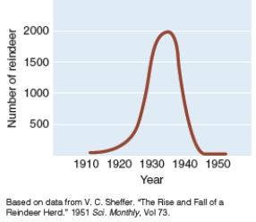 The graph below is a record of the population size of reindeer on one of the Pribilof Islands off the coast of Alaska where they were introduced in 1911. If it is known that the availability of winter forage determines the carrying capacity for reindeer, what can be interpreted from this graph?   A) The population crashed due to overgrazing by the reindeer. B) An environmental resistance factor like disease caused the population to decline somewhat. C) Some reindeer were lost to predation by wolves D) Some reindeer emigrated to another island.