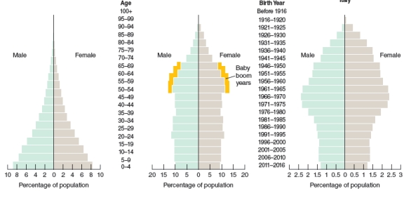 The population represented by the age structure pyramid labeled A will:   A B C A) have a large population of old people soon. B) not grow much in the coming years. C) soon begin to decline D) grow substantially in the future.
