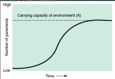 Compare and contrast the two graphs below.    