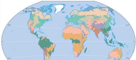The area that is dark green on the map below would MOST likely be what kind of biome?   A) chaparral B) desert C) tropical rainforest D) tundra