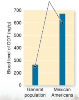 What can be interpreted from the graph below?   A) Mexican-Americans, who make up a disproportionate fraction of agricultural workers in the United States, are at higher risk from pesticides than are other groups. B) The DDT blood level for Mexican-Americans is much higher than the rest of the population. C) Mexican-Americans are genetically pre-disposed to accumulate DDT in their blood.. D) Mexican-Americans are at a higher risk of developing cancer.