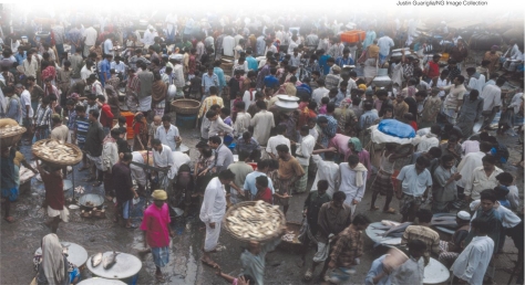 Why are infectious agents more easily spread more among people who live in a city such as the one pictured below?   A) Air pollution contributes to the spread of infectious agents. B) Extremely crowded conditions make the transmission of infectious agents easier. C) Industrial pollutants like POPs increase the risk of spreading infectious diseases. D) Road construction allows infectious agents to move into cities.
