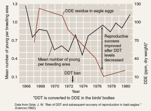 What effect of pesticides on birds can be interpreted from the graph below?   A) DDE (a breakdown product of DDT) residue in bird eggs has a negative correlation with reproductive success - when DDE residues are high the number of young per breeding season was low. B) Even though DDT was banned in 1972, reproductive success of birds has yet to improve. C) The graph provides evidence of how DDT bioaccumulates and biomagnifies in birds. D) DDT causes acute toxicity in birds.