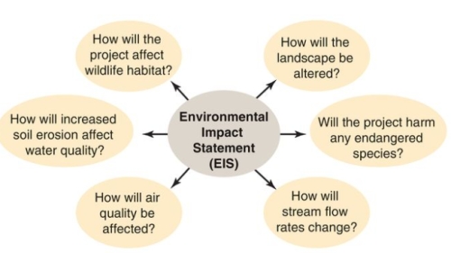 <strong>What does the diagram below illustrate?  </strong> A)EIS B)NEPA C)NIMBY D)Kyoto Protocol <div style=padding-top: 35px> 