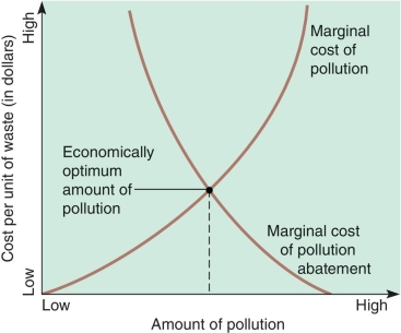 The graph below represents the cost-benefit diagram for identifying the optimum amount of pollution. The intersection of the two lines indicates   A) cost of manufacturing a product if pollution were not considered B) maximum amount of pollution produced in a given process C) optimum amount of pollution that is economically desired D) point where no measurable pollution is produced