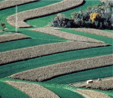 Compare and contrast two images below to distinguish between the resource management practices reflected in each image.    