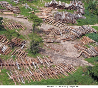 What worldview does this photograph BEST represent?   A) A deep ecology worldview. B) A sustainable consumption worldview. C) A western worldview. D) Any environmental worldview.