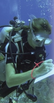 The scientist in the picture below is MOST likely participating in what step in the scientific process?   A) analysis of data B) collection of data C) formulation of a hypothesis D) studying an experimental group