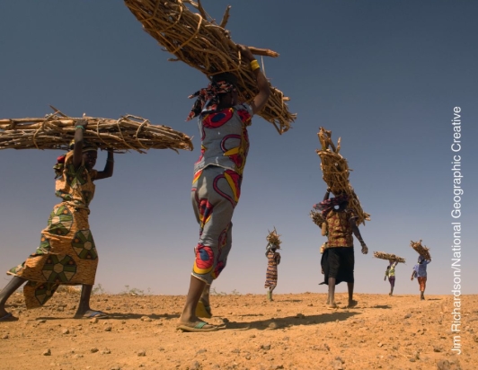 What type of renewable energy source is being gathered by the women pictured below?   A) geothermal B) active solar C) herbivory D) biomass E) biogas