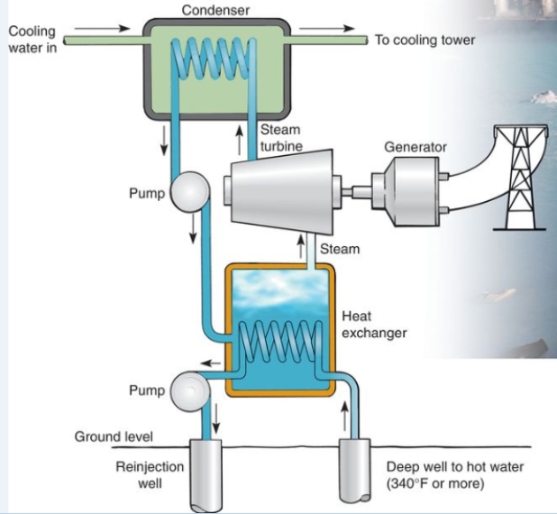 Which of the following best describes how this geothermal heat pump works?   A) the pressure of hot water from a deep well turns a turbine and generates electricity. B) Steam separated from hot water pumped from underground turns a turbine and generates electricity. C) water is transferred from a deep well to a coil exposed to solar radiation to heat the water sufficiently to generate steam, which turns a turbine and generates electricity D) a pipe with heated oil is sent deep into Earth to initiate a volcanic eruption then is tapped so that the energy can be used to generate electricity. E) water is transferred from a deep well into a hot water tank, which is kept at a constant temperature by combustion of natural gas.
