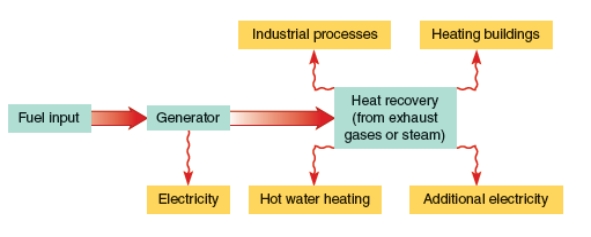 The diagram below is an energy efficient technology called   A) a biogas digester. B) unlimited renewable energy for consumers. C) energy star labeling program (ESLP) . D) cogeneration or combined heat and power (CHP) . E) mass-to-energy system.