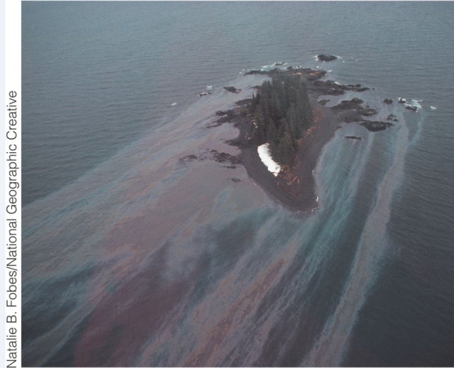 What does the Oil Pollution Act of 1990 legislate for environmental disasters such as the one pictured below?   A) hazardous pay for clean-up workers B) tidal barriers to help prevent the spread of oil slicks C) a remediation protocol for impacted wildlife populations D) requires that, by 2015, oil be transported by land and not sea E) a trust fund that pays to clean up oil spills when the responsible party cannot