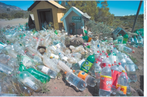 Would the materials illustrated below make a good raw material for composting? Why or why not?   A) no, because the polyvinyl chloride toxins in plastics would leach into the compost and make it contaminated B) no, because composted materials must be biodegradable and these plastics are chemically stable and do not readily decompose C) yes, because plastics can be shredded or shaped into pellets to provide uniformity in the compost D) yes, because global demand for bottled water is increasing and recycling saves resources E) yes, because composting bins can be rotated to thoroughly mix these bottles with other composted materials, speeding up decomposition.