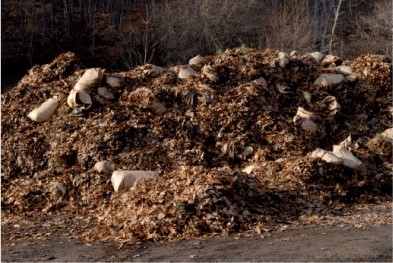 What best explains the process that is illustrated below?   A) yard wastes are being mixed with crushed glass to make glassphalt B) rubber and plastics are being prepared for incineration C) food scraps and yard wastes are converted into compost or mulch D) seeds are put into the drum to premix with soil for ease of distribution E) noncombustible wastes are being removed by hand prior to incineration