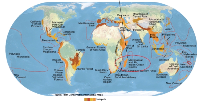 What might you find in the circled region?   A) a protected piece of the National Wildlife Refuge System established by President Roosevelt B) the last known habitat of the Hawaiian goose C) a biological hotspot, which is rich in endemic species D) the Svalbard Global Seed Vault opened in 2008 to store 4.5 million seed samples E) captive breeding programs for the endangered sea lamprey
