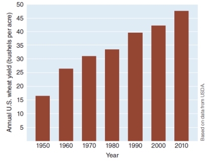 According to the graph below, U.S. wheat yields   A) suffered from poor weather conditions in 1980 B) benefited from the green revolution in 2000 C) remained constant from 1990-2005 D) doubled from 1950 to 1970 E) tripled from 1960 to 2005