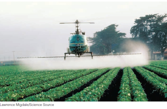 Which of the following is not a serious concern with the type of pesticide application illustrated below?   A) harming species other than the ones for which the pesticide is intended B) inability of the pesticide to readily break down into safe materials such as water, carbon dioxide, and oxygen C) mobility of the pesticide through water runoff D) pest species evolving genetic resistance to pesticides E) ease of application to ensure that all plants are equally treated with pesticide