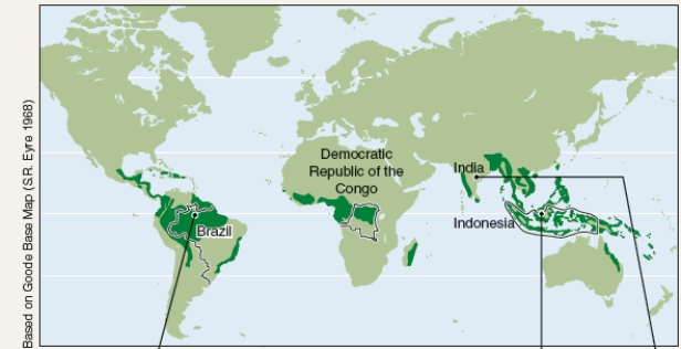 What is designated by the green areas on the map?   A) Areas where FSC certified wood is grown. B) Location of the world's boreal forests. C) Regions where most commercial logging occurs. D) Location of the world's tropical rainforests.