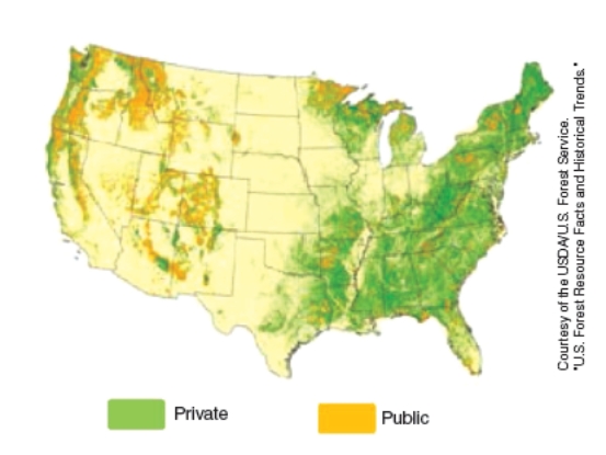 The figure below shows ownership of forests in the United States. What is the total percentage of forests that would be considered public lands (i.e., owned by the government) ?   A) 43% B) 25% C) 10% D) 1%