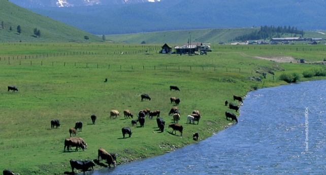 The photo below BEST illustrates:   A) a wildlife corridor B) a clear-cut C) rangeland D) tundra