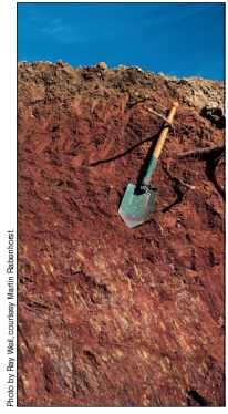 Why does this soil have no O-horizon?   A) The O- horizon has been plowed under for agriculture. B) Considerable leaching has eliminated the O- horizon. C) Soil erosion has eliminated the O- horizon. D) Forest soils like this one have no O-horizon.