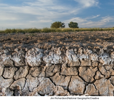 This irrigated soil in Colorado can no longer be used for agriculture because of the accumulation of   A) salt B) water C) fertilizers D) pesticides