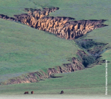 What are the soil problems depicted in the photographs below. Describe the problems and explain how human activity contributes to causing/exacerbating these problems. Why are the problems depicted of serious concern?   A   B