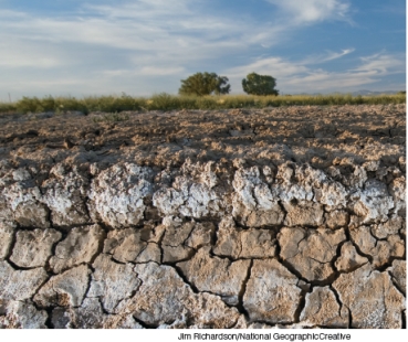 What are the soil problems depicted in the photographs below. Describe the problems and explain how human activity contributes to causing/exacerbating these problems. Why are the problems depicted of serious concern?   A   B