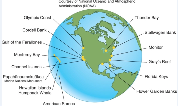 What is the map below representative of?   A) Marine pollution hot-spots. B) Areas where the largest commercial fishing operations are based. C) Locations of national marine sanctuaries. D) Areas that are best suited for aquaculture.