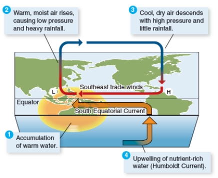 Compare and contrast the two figures below. Explain in each case what the event is and what causes it to occur. Please include in your discussion: what effects the events have on marine life and why.    