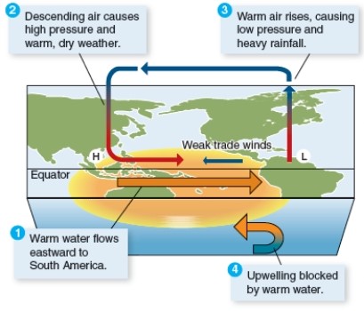 Compare and contrast the two figures below. Explain in each case what the event is and what causes it to occur. Please include in your discussion: what effects the events have on marine life and why.    