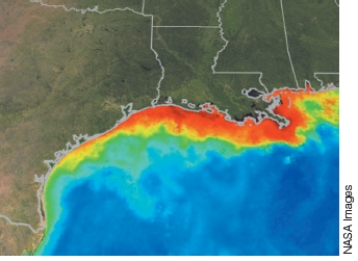 What is shown in the satellite image below? Discuss the causes for this and the ecological impact of this process.  