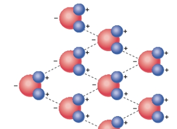 What do the dashed lines shown in the diagram below illustrate?   A) Hydrogen bonding B) The polarity of water C) The chemical formula of water D) The physical properties of water E) Oxygen bonding