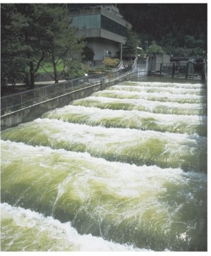 What is the structure located at the Rocky Reach Dam on the Columbia River and shown in the photograph below designed to do?   A) It reduces erosion downstream. B) It improves the efficiency of hydroelectric generation C) It slows down water to decrease sedimentation D) It is a fish ladder to help fishes migrate upstream