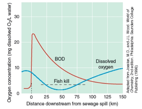 According to the graph below:   A) as you move away from the sewage spill, the demand for oxygen falls and then rises. B) the more raw sewage present, the less demand for oxygen. C) when the dissolved oxygen is less than 4 gm/liter of water fish cannot live and the dissolved oxygen will continue to fall. D) none of the above is true.