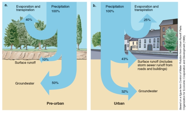 What is being depicted in the figures below? Interpret the figures and describe the reasons for the differences.  