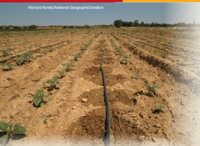 What is depicted in the photograph below? Explain how the use of this system helps conserve water.  