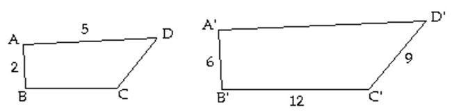 Quadrilaterals ABCD and A'B'C'D' are similar figures. Find the length of the side. -  side A'D' A)  10 B)  5 C)  15 D)  12