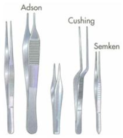 What are the instruments pictured here?   A)  Dilators B)  Forceps C)  Hemostats D)  Retractors E)  Probes