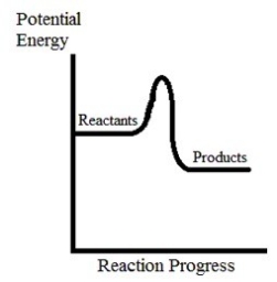 Which is true concerning the following potential energy diagram?   A)  This reaction is exothermic and has a positive activation energy. B)  This reaction is endothermic and has a positive activation energy. C)  This reaction is exothermic and has a negative activation energy. D)  This reaction is endothermic and has a negative activation energy. E)  This reaction is thermoneutral and has a zero activation energy.